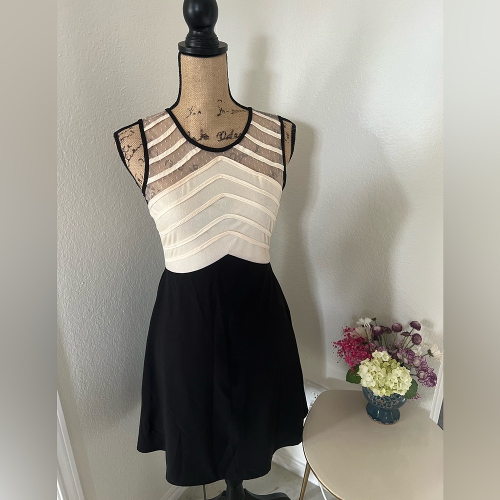 New w/tags Beautiful cream and black dress